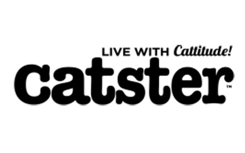 7 Ways to Get Your Cat to Like Using the Litter Box